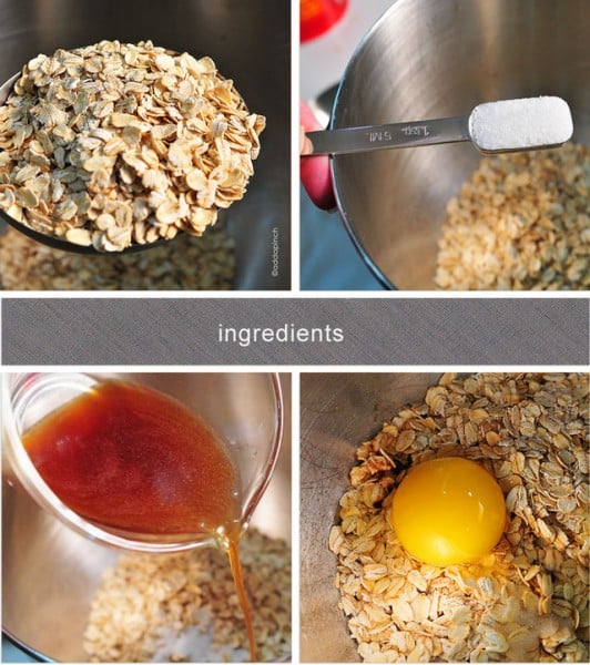 homemade dog food with oatmeal