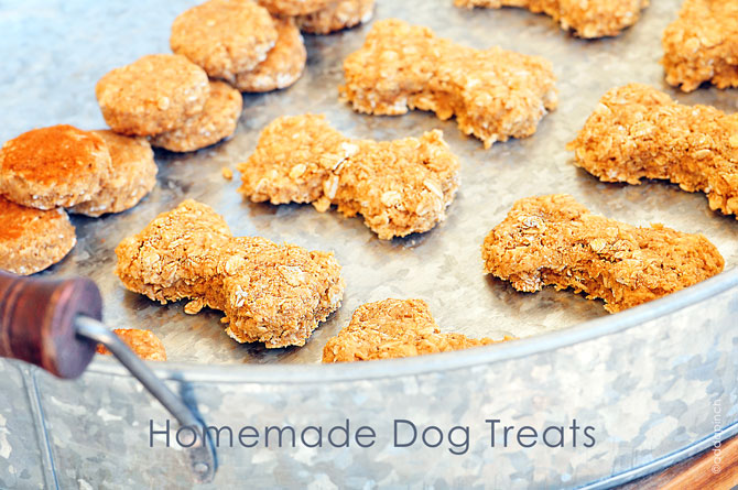 Homemade Dog Treats Recipe Add a Pinch Robyn Stone