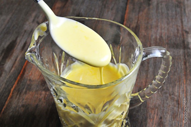 Easy Blender Hollandaise Sauce Recipe