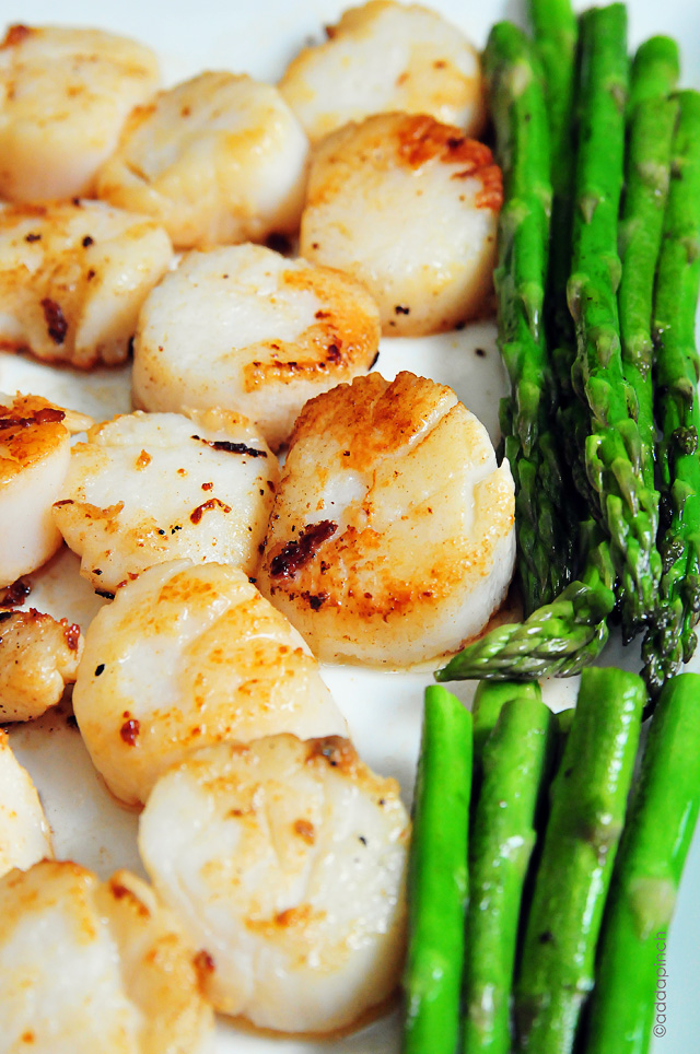 Seared Scallops Recipe Add A Pinch