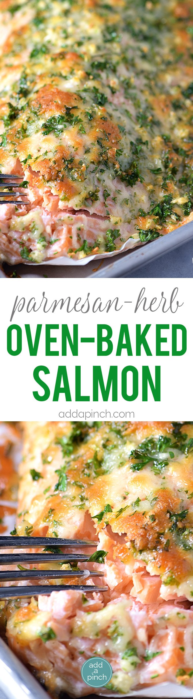 Baked Salmon Recipe - Baked salmon makes a weeknight meal that is easy enough for the busiest of nights while being elegant enough for entertaining. This oven baked salmon with a Parmesan herb crust is out of this world delicious! // addapinch.com
