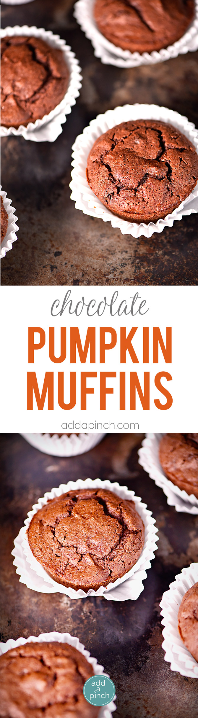 Pumpkin Chocolate Chocolate Chip Muffins make a special treat for breakfast, brunch or an afternoon snack! These are a definite fall favorite! // addapinch.com