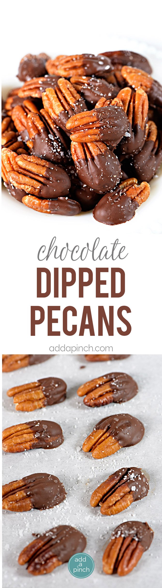 Chocolate Dipped Pecans make an easy, yet elegant treat perfect for entertaining and gifts! // addapinch.com