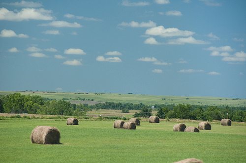 Kansas Countryside