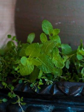 A Back Porch Herb Garden