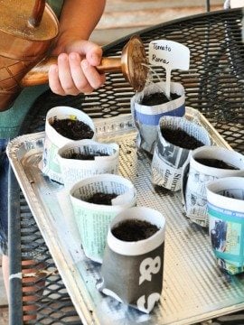 How to Make Your Own Seedling Pots