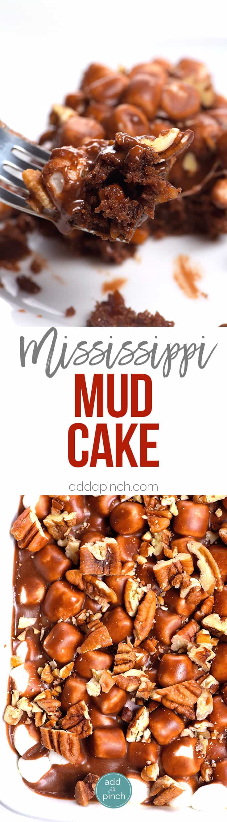 Mississippi Mud Cake Recipe - Mississippi mud cake is a simple, yet scrumptious chocolate dessert with marshmallows, pecans and a rich chocolate icing. // addapinch.com