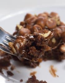 Mississippi Mud Cake Recipe - Mississippi mud cake is a simple, yet scrumptious chocolate dessert with marshmallows, pecans and a rich chocolate icing. // addapinch.com
