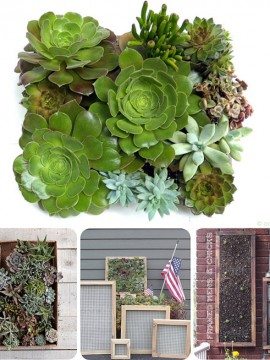 Vertical Succulent Gardens {Mingle Monday 6/25}