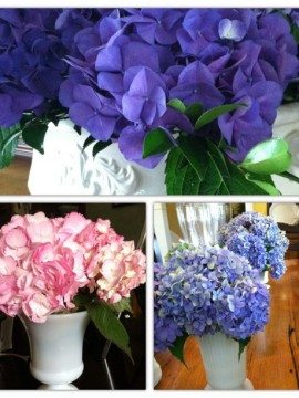 Hydrangea Lovin’ {Mingle Monday}