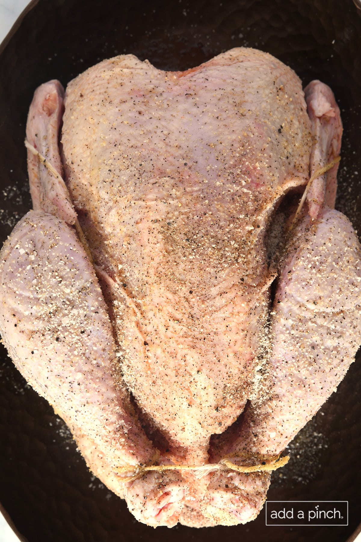 Whole trussed chicken in a baking pan with seasonings.