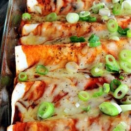 The Best Chicken Enchiladas are definite favorites! They begin in the crockpot, are easy to make and are amazing with my quick homemade enchilada sauce! //addapinch.com