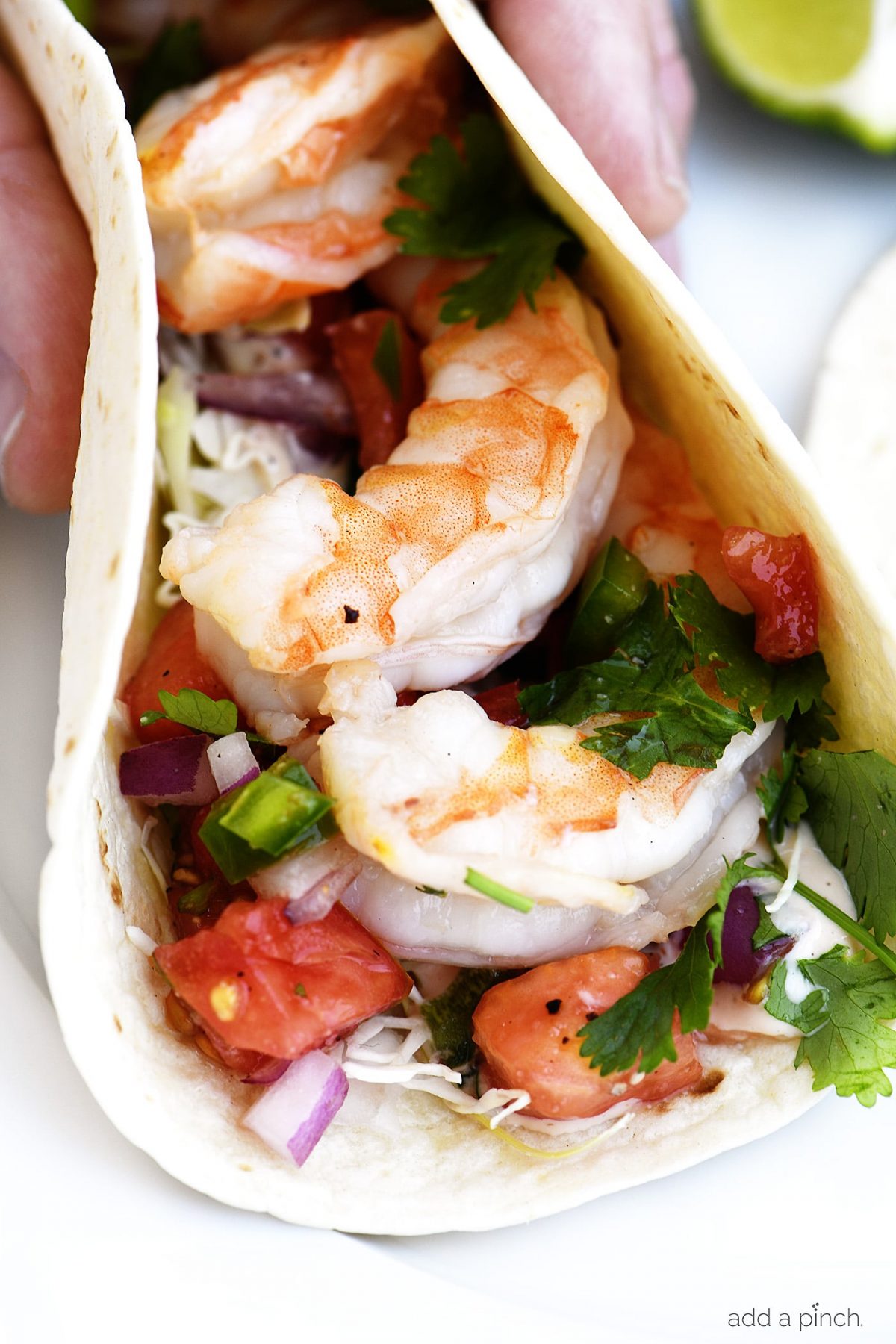 Shrimp Tacos Recipe - These quick and easy shrimp tacos are always a favorite. Made with delicious, tender grilled shrimp, pico de gallo in a soft taco. // addapinch.com