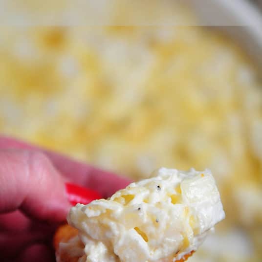 Vidalia Onion Dip Recipe Add a Pinch