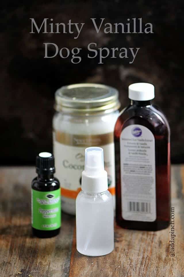 Minty Vanilla Dog Spray | ©addapinch.com