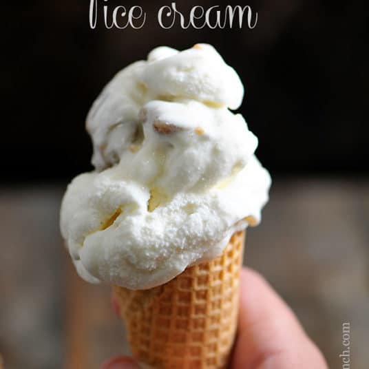 Praline Ice Cream Recipe - Add a Pinch