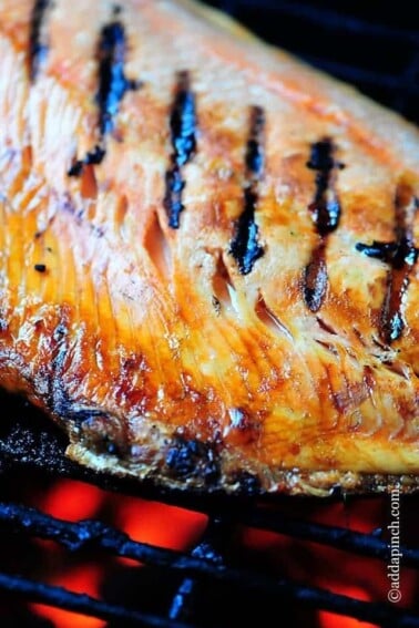 Grilled Salmon Recipe - Grilled Salmon is a favorite, light and delicious meal. This grilled salmon recipe is the perfect combination of savory and sweet and will quickly become a favorite. // addapinch.com