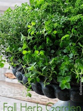 My Fall Herb Garden {Porch Style}
