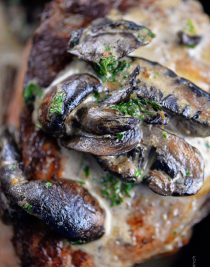 Mushroom Cream Sauce Recipe - Add a Pinch