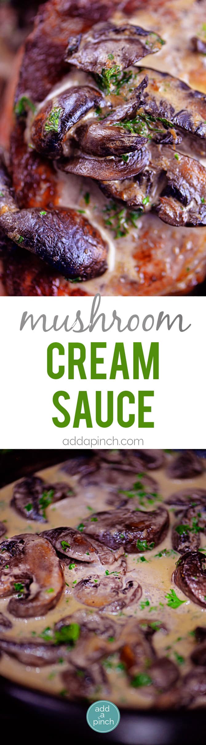 Mushroom Cream Sauce Recipe - Mushroom Cream Sauce makes a delicious addition to so many dishes. Serve this mushroom cream sauce over pasta, chicken, beef and so much more. // addapinch.com