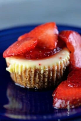Mini New York Cheesecake Recipe - Add a Pinch