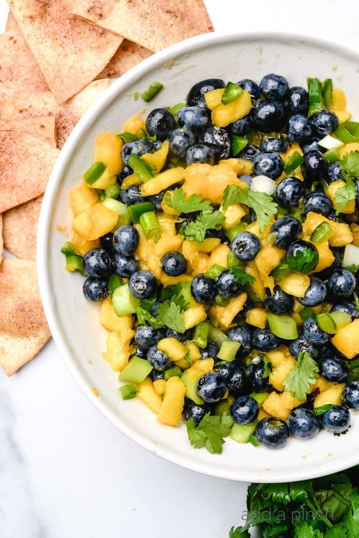 Blueberry Peach Salsa in a white dish surrounded by chips. 