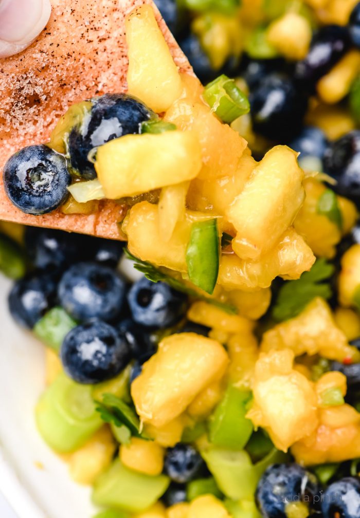 Blueberry Peach Salsa makes a delicious fruit salsa. Made of blueberries, peaches and a few other simple ingredients, this blueberry peach salsa is a summertime favorite. // addapinch.com