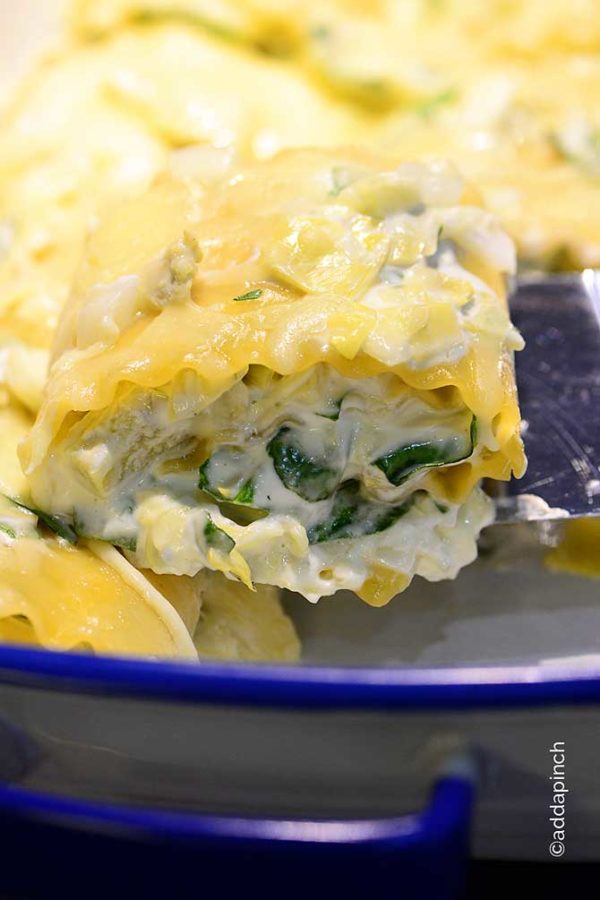 Spinach Artichoke Lasagna Rolls Recipe Add a Pinch