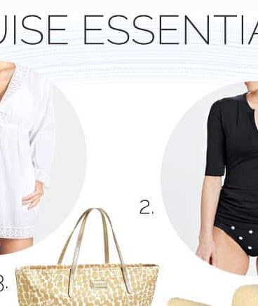 Cruise Essentials from addapinch.com