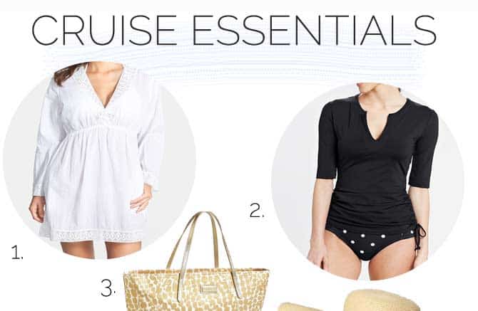 Cruise Essentials - Add a Pinch