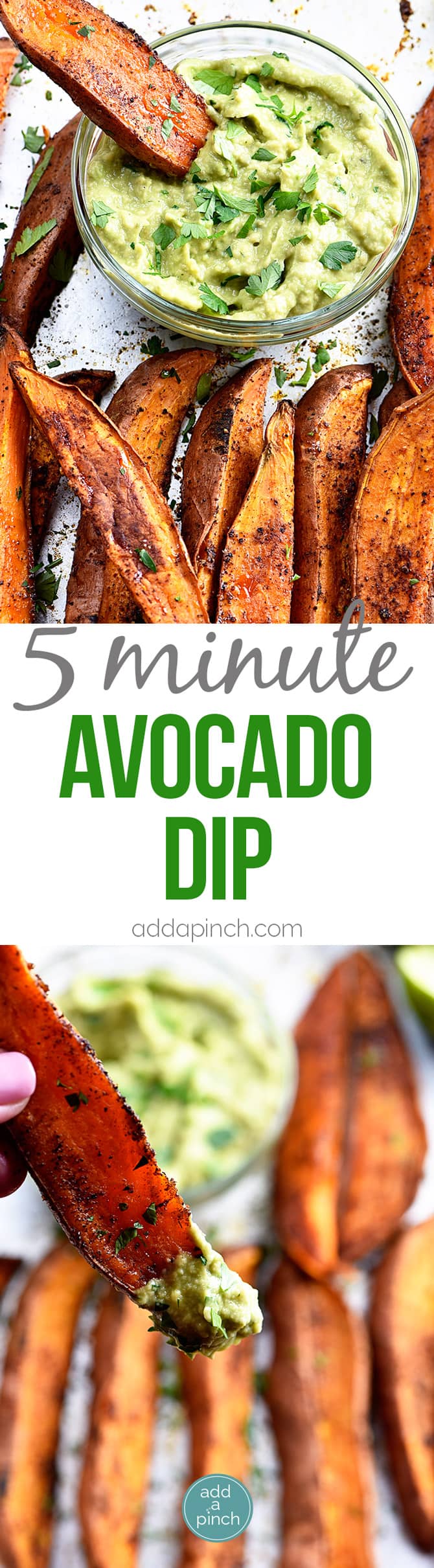 Avocado Dip (Avocado Crema) Recipe - This avocado dip recipe is quick, easy and delicious! It comes together in five minutes and is delicious served with so many dishes! // addapinch.com