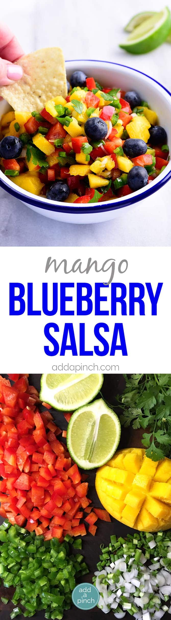 Mango Blueberry Salsa - This Mango Blueberry Salsa makes a fresh fruit salsa recipe perfect for serving with fish, chicken, or on a chip! // addapinch.com