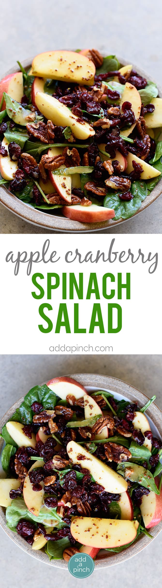 Apple Cranberry Spinach Salad Recipe - This Apple Cranberry Spinach Salad recipe is loaded with crisp apples, crunchy pecans or walnuts, and sweet cranberries and topped with a delicious apple cider vinaigrette dressing that is simply amazing! The perfect fall salad! // addapinch.com