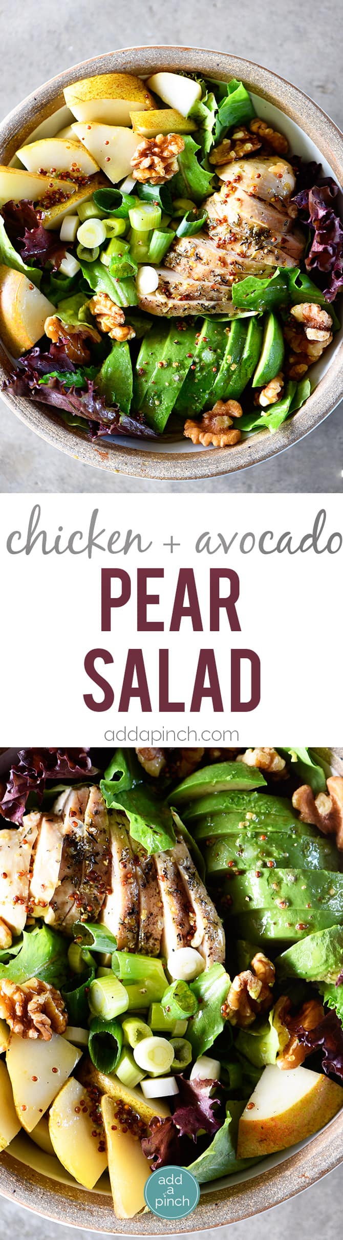 Fall Chicken Avocado Pear Salad Recipe - This salad makes for a delicious fall salad recipe! Filled with chicken, avocado, pears, walnuts, and topped with a Honey Mustard Dressing! // addapinch.com