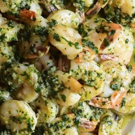 Easy Garlic Shrimp Recipe - This garlic shrimp recipe is ready and on the table in 15 minutes! Made with shrimp, garlic, butter, and parsley, this quick and easy shrimp recipe is a definite favorite! // addapinch.com