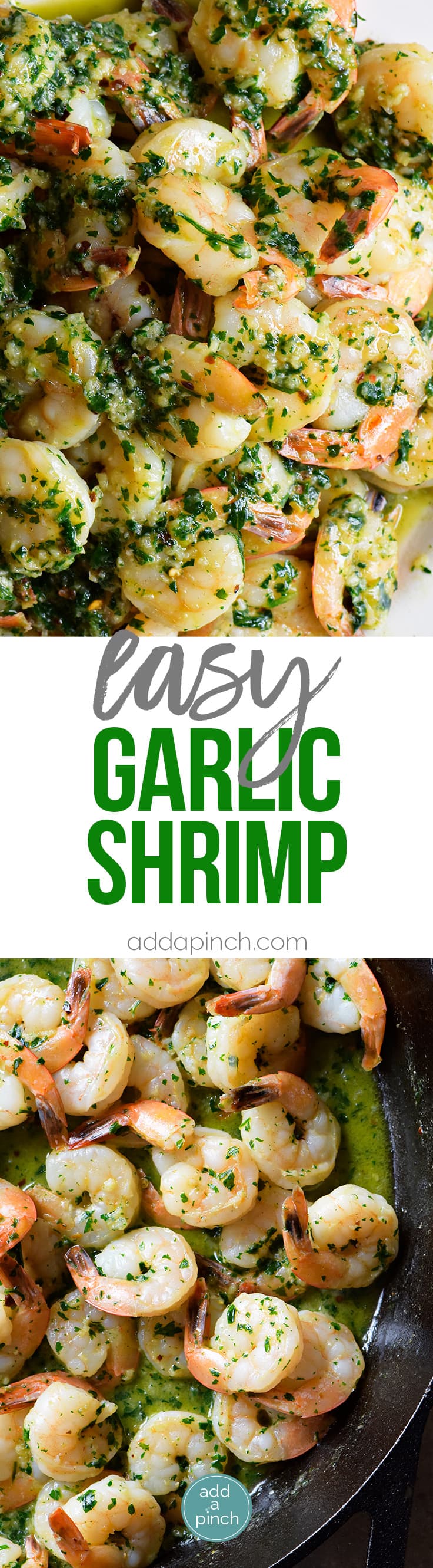 Easy Garlic Shrimp Recipe - This garlic shrimp recipe is ready and on the table in 15 minutes! Made with shrimp, garlic, butter, and parsley, this quick and easy shrimp recipe is a definite favorite! // addapinch.com