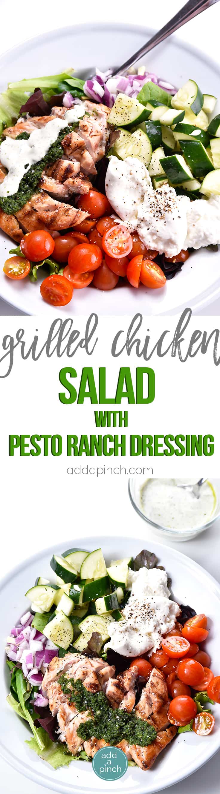  Grilled Chicken Salad with Pesto Ranch Dressing Recipe makes a delicious salad with cucumbers, tomatoes, onion, mozzarella topped with grilled chicken and a pesto ranch dressing! // addapinch.com