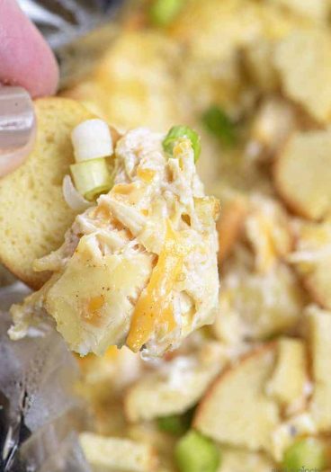 Slow Cooker Hot Crab Artichoke Dip Recipe - A delicious hot crab artichoke dip recipe made even easier with the slow cooker! Serve with butter crackers or toasted bagels! Always a party favorite! // addapinch.com