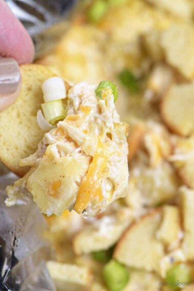 Slow Cooker Hot Crab Artichoke Dip Recipe - A delicious hot crab artichoke dip recipe made even easier with the slow cooker! Serve with butter crackers or toasted bagels! Always a party favorite! // addapinch.com
