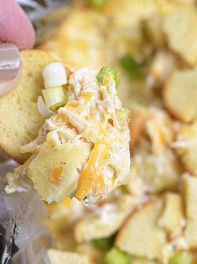 Slow Cooker Hot Crab Artichoke Dip Recipe - A delicious hot crab artichoke dip recipe made even easier with the slow cooker! Serve with butter crackers or toasted bagels! Always a party favorite! // addapinch.com
