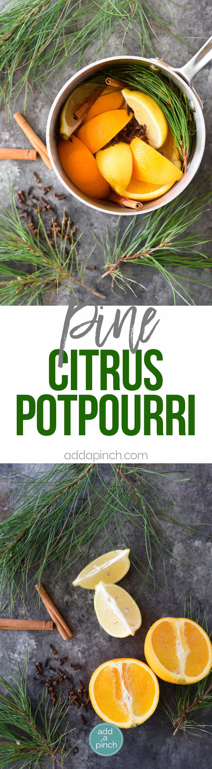 How to Make Potpourri - This all natural, quick and easy potpourri recipe makes your home smell amazing with fresh fruits, spices, and a touch of nature! // addapinch.com