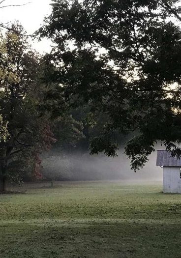 Foggy Farm // addapinch.com