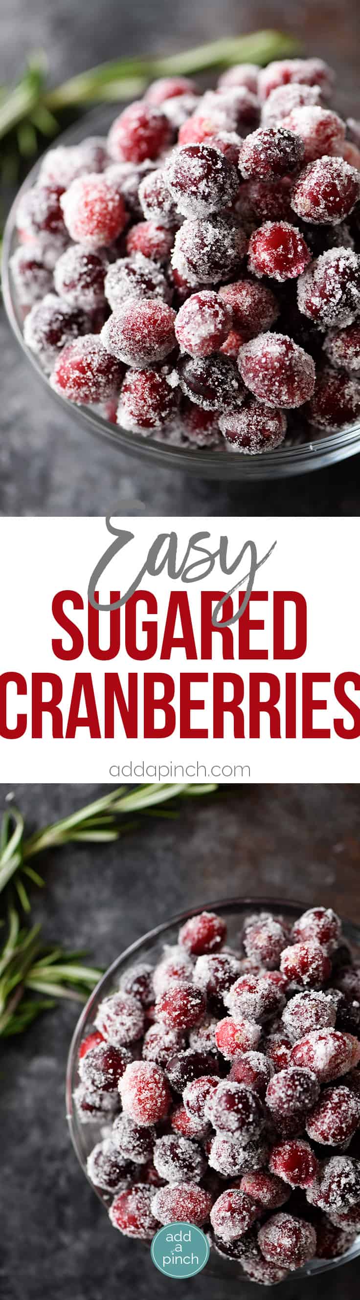 Photo collage with Sugared Cranberries  // addapinch.com