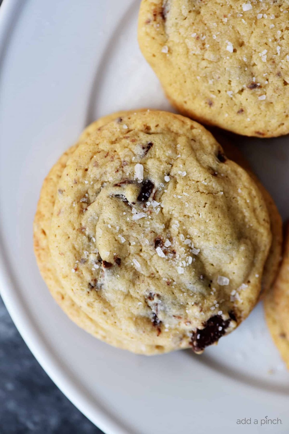 photograph of chocolate chip cookie on a white plate on a dark background.