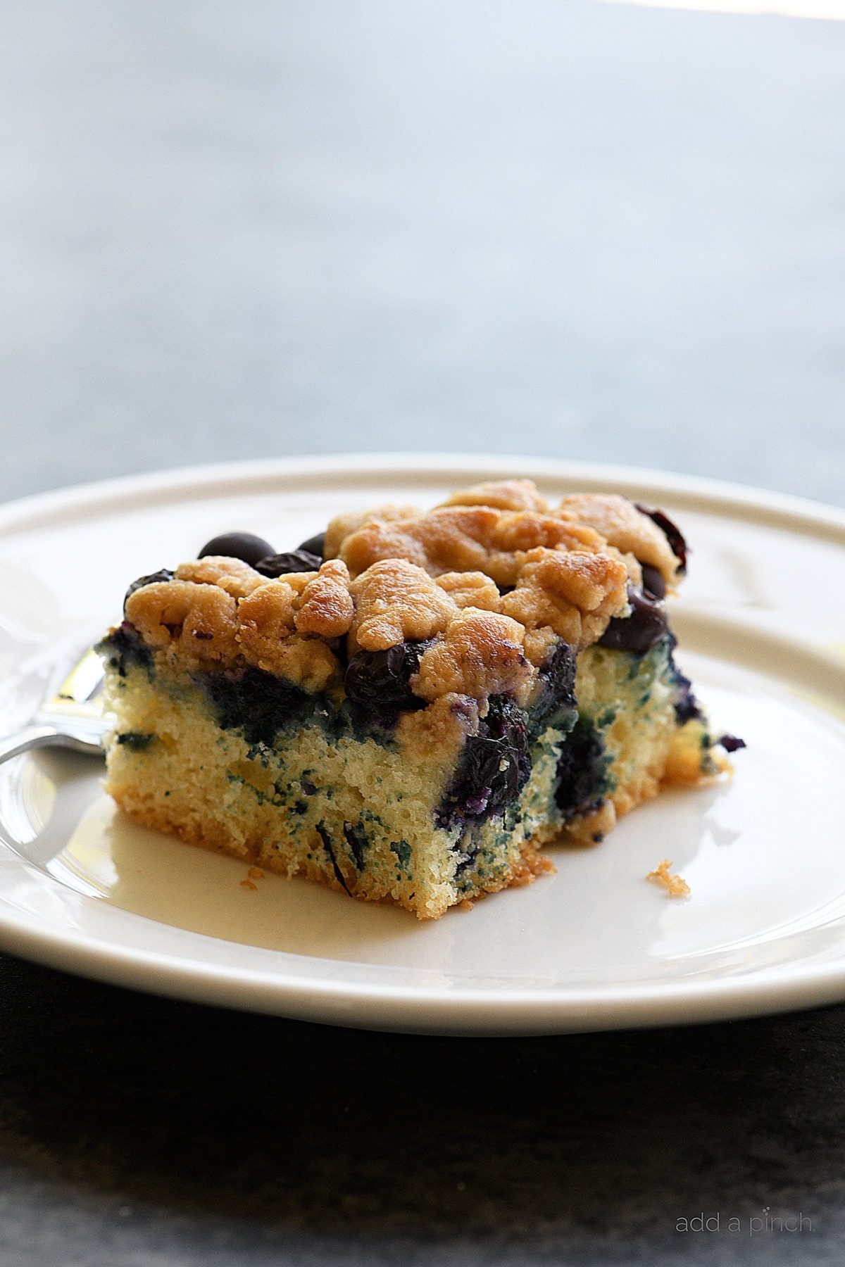 Blueberry Coffee Cake Recipe with Crumb Topping - Add a Pinch