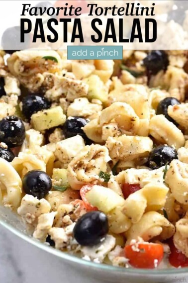 Easy Tortellini Pasta Salad Recipe - Add a Pinch