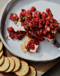 Cranberry Salsa Cream Cheese Spread Recipe - This quick and easy appetizer recipe made with a delicious fresh cranberry salsa over cream cheese and then is served with crackers, fruit, or chips. Makes a great make-ahead recipe for the holidays! // addapinch.com