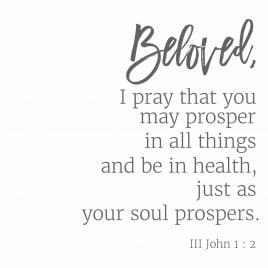 Beloved, I pray that you may prosper in all things and be in health, just as your soul prospers. III John 1:12 // addapinch.com