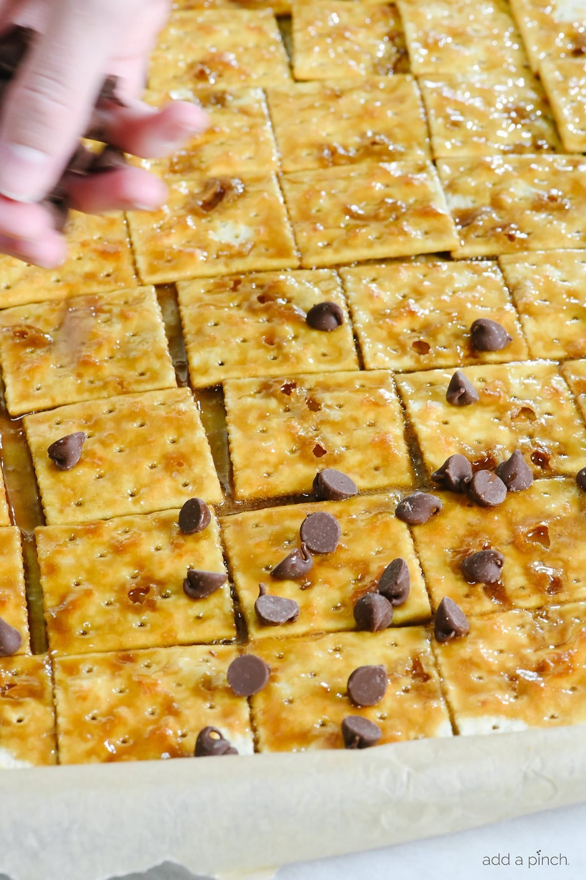 Hand sprinkles chocolate chip over caramel covered saltines on a baking sheet.