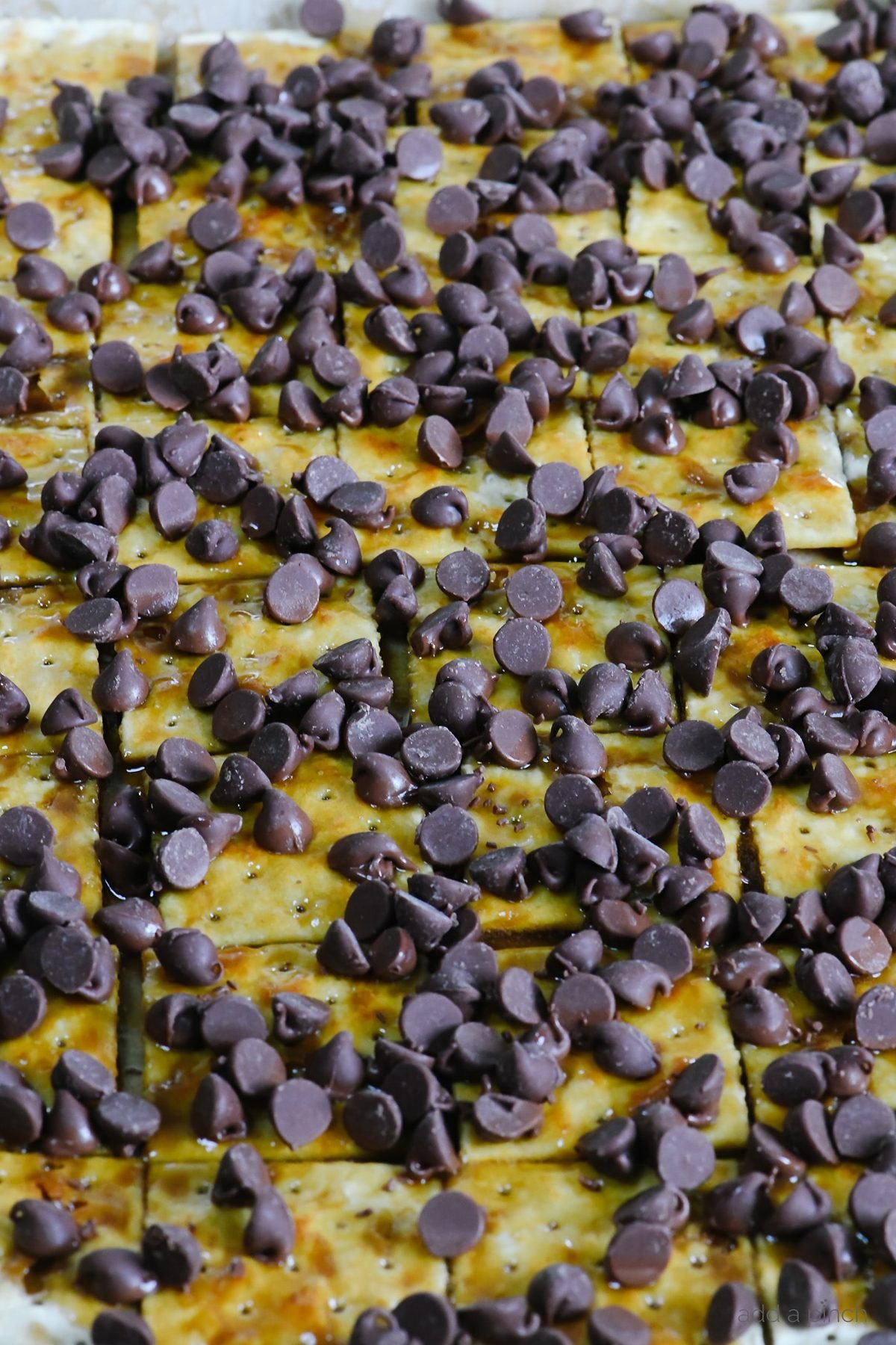 Chocolate chips cover saltines that have been topped with caramel. 